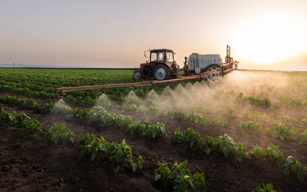 Best Best Pest Control Companies  in Venus, TX