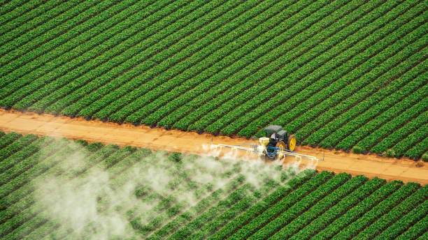 Best Termite Control Services  in Venus, TX
